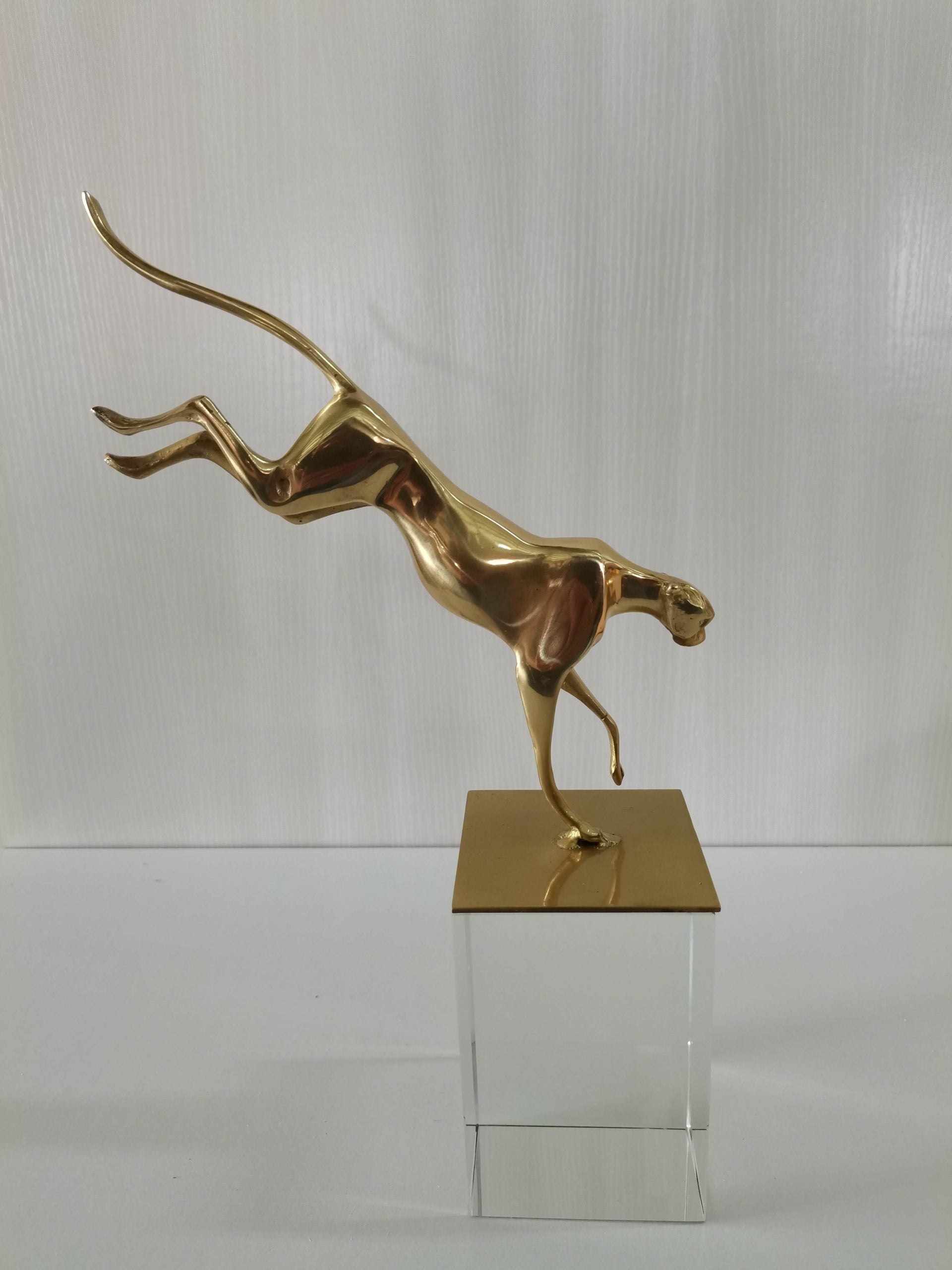 Running Leopard on Crystal